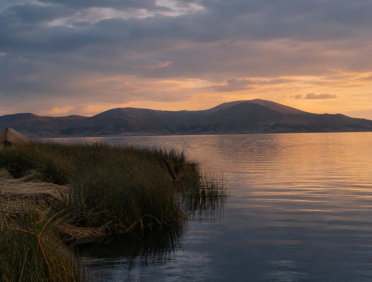 Totora reeds on the shore of Lake Titicaca at dusk